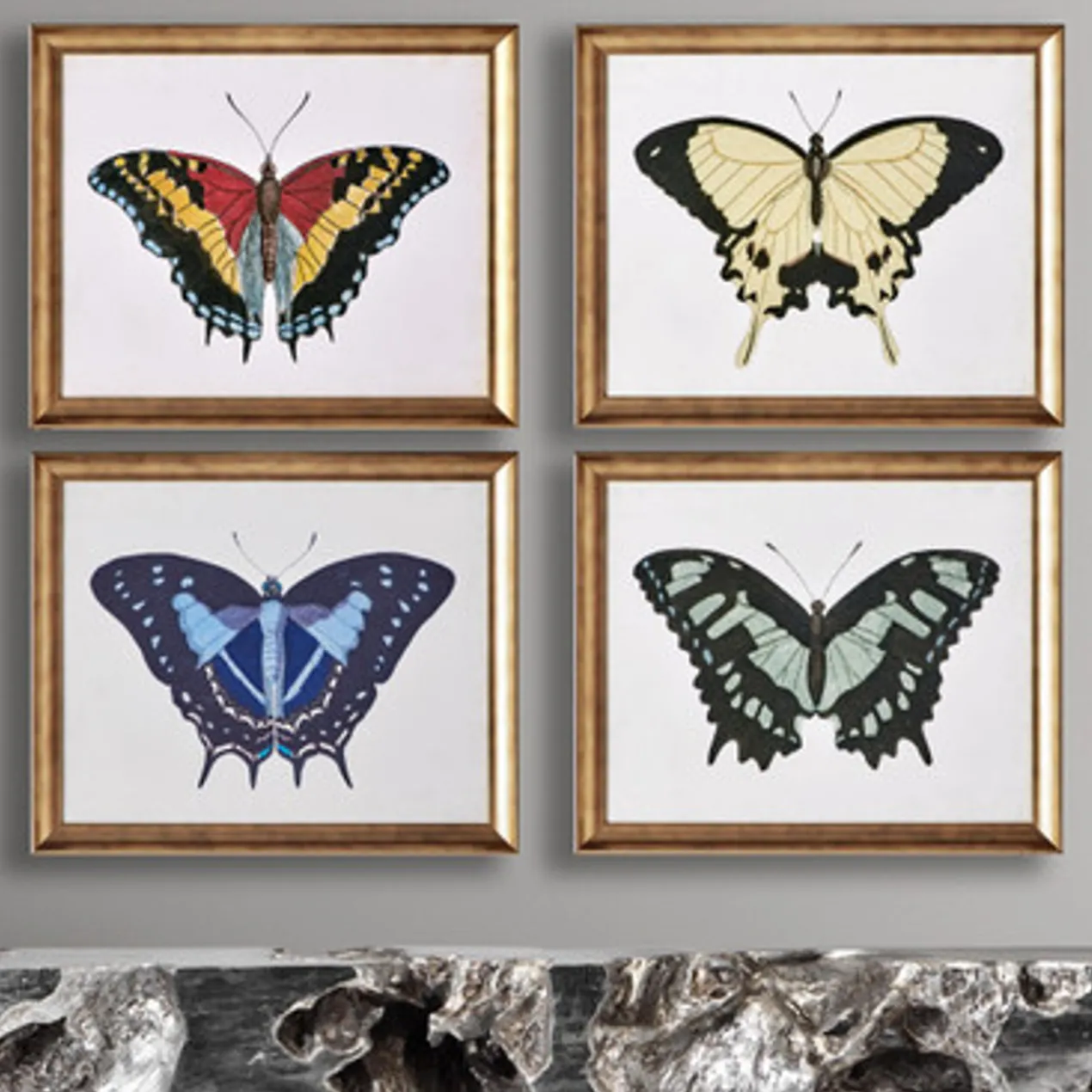 Beautiful Butterfly 1