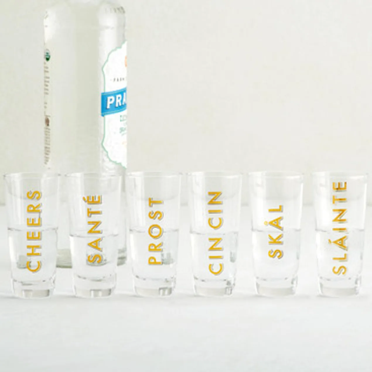 Cheers Shot Glass Set