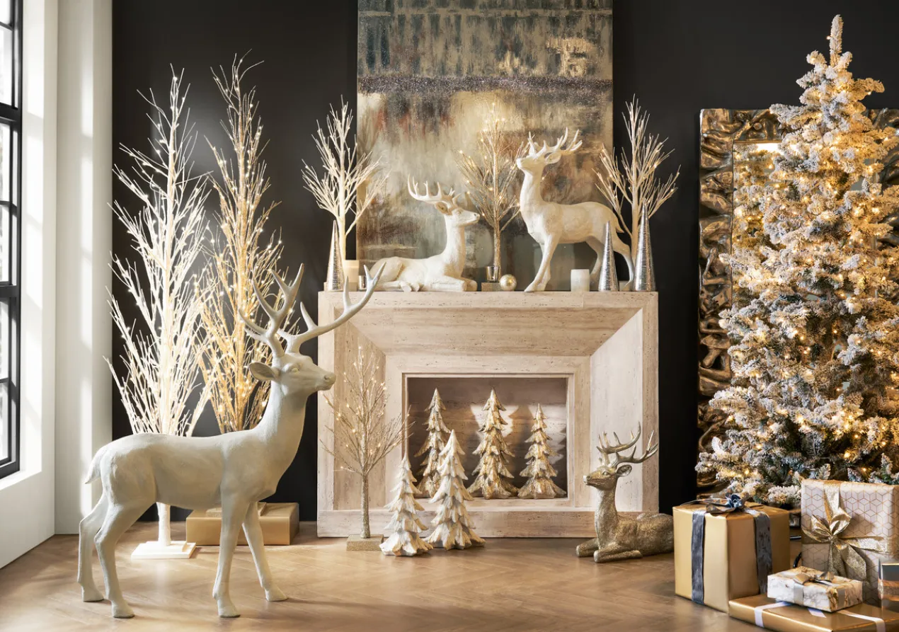 Due Diligence - Canvas