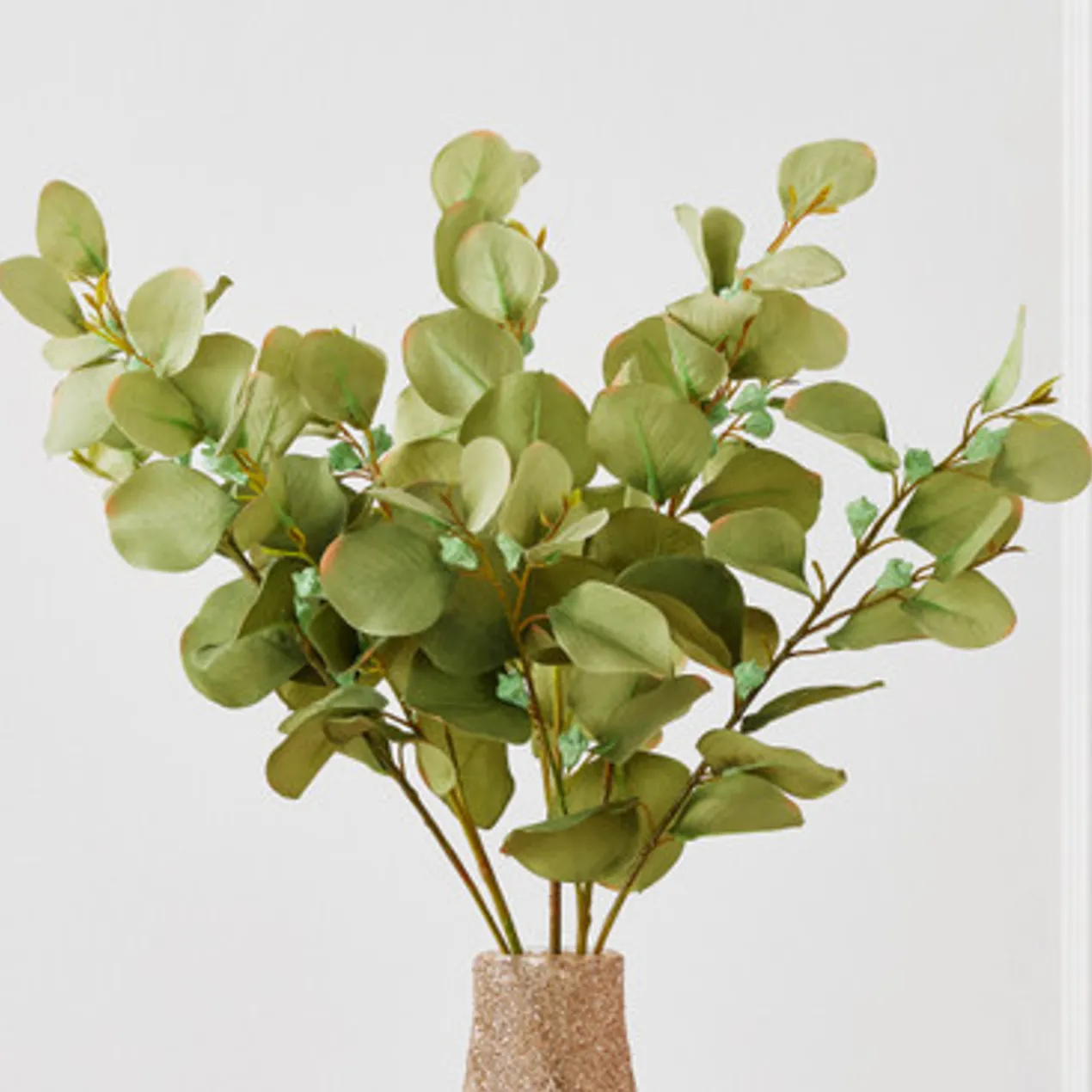 Eucalyptus Spray - Set of 3