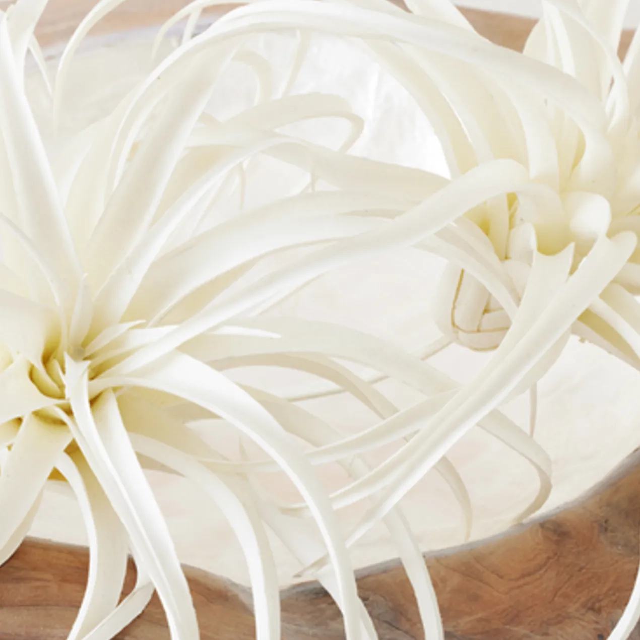 Faux Air Plant - Set of 3