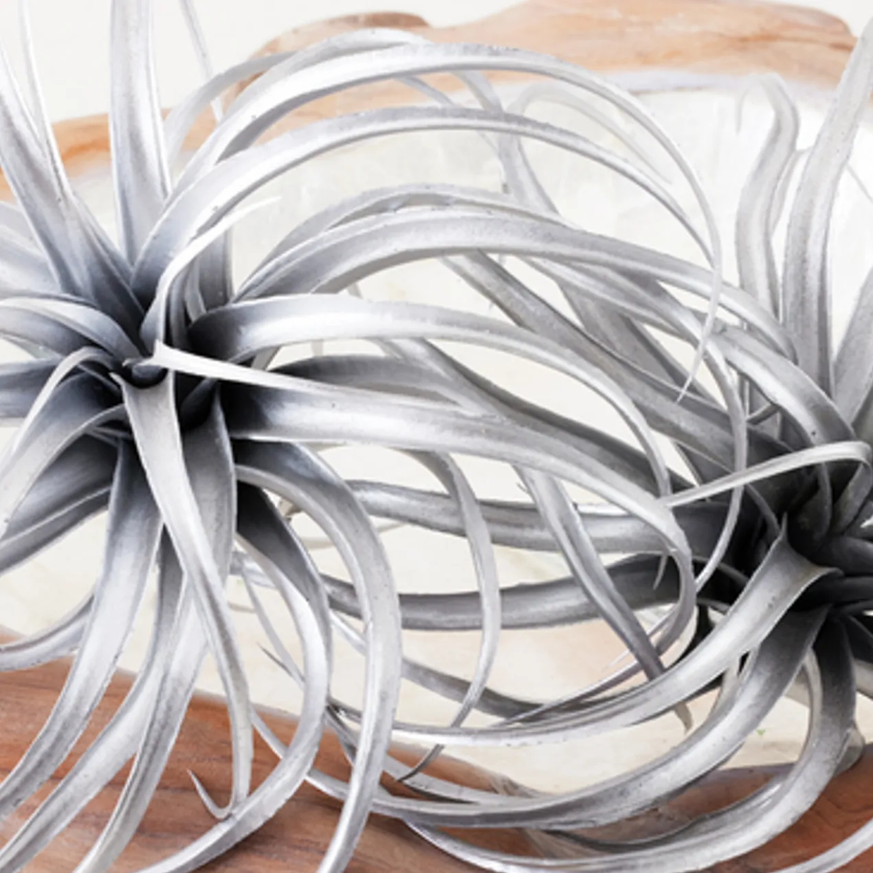 Faux Air Plant - Set of 3