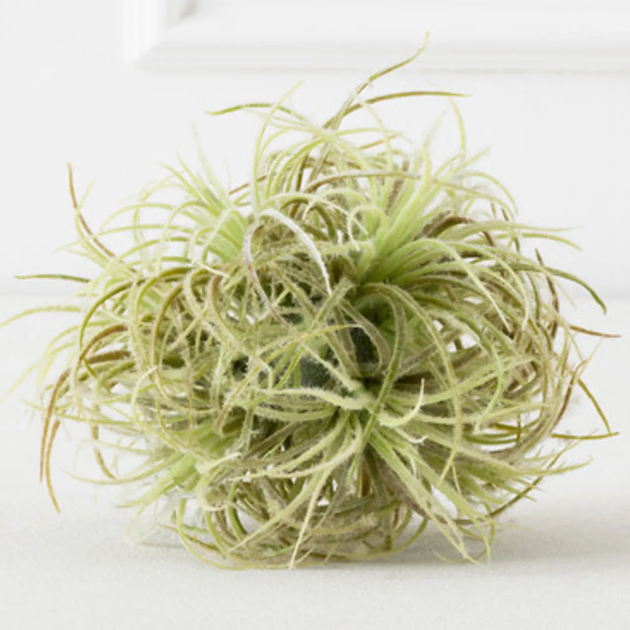 Faux Airplant Sphere