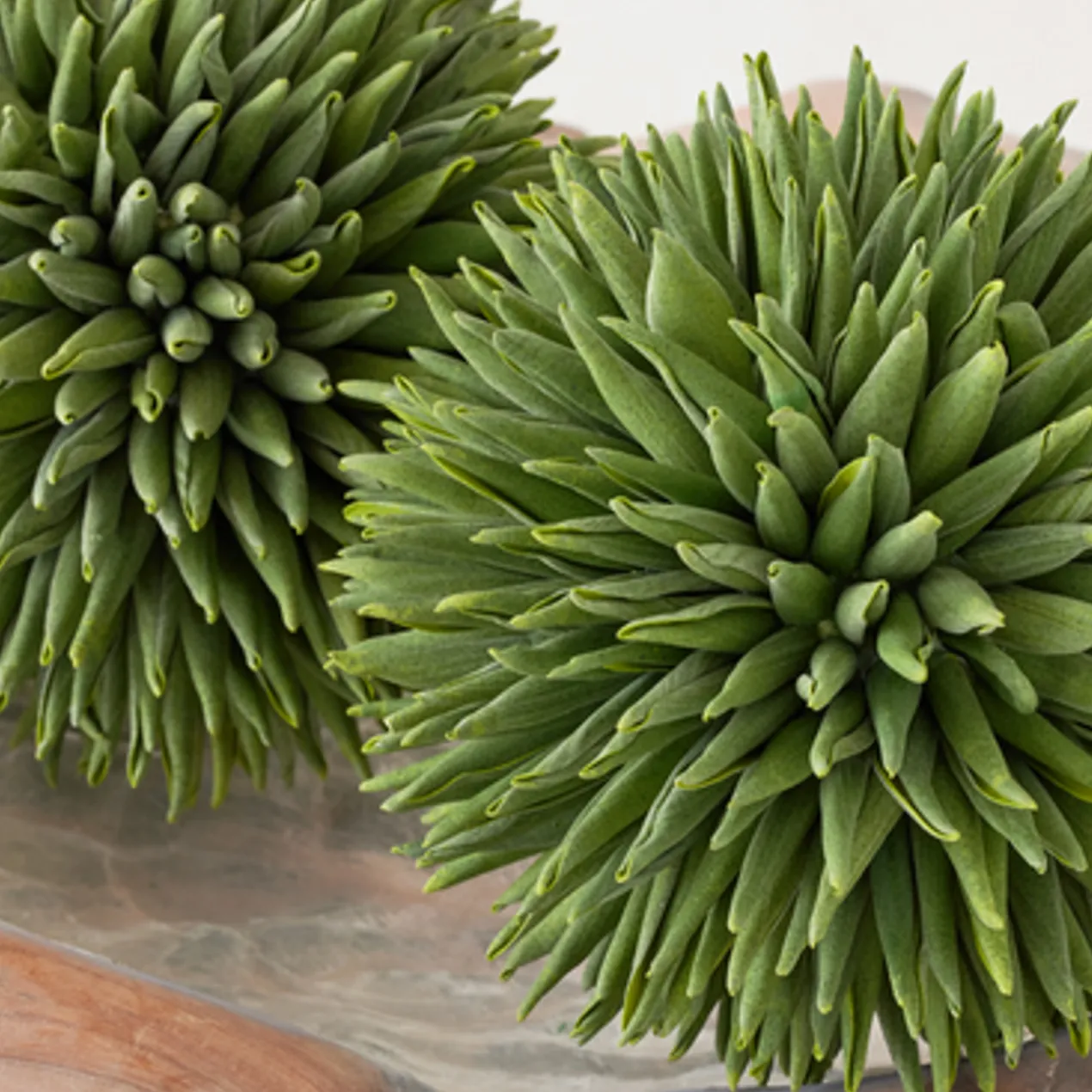 Faux Allium Sphere - Set of 3