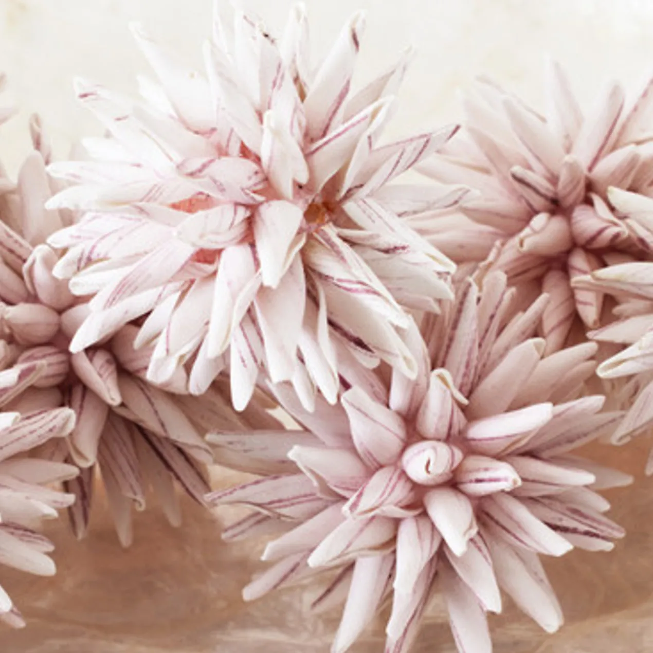 Faux Allium Sphere - Set of 9