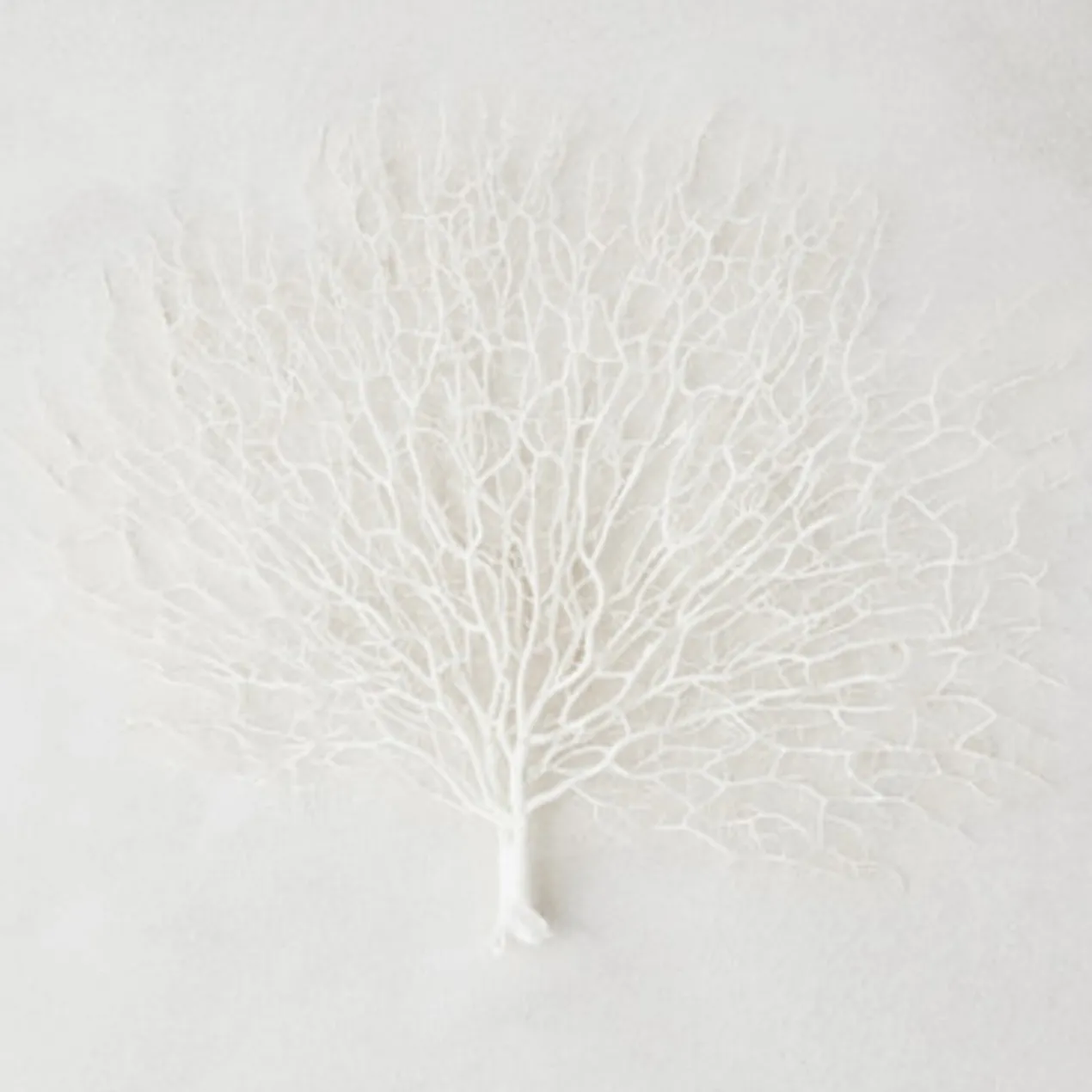 Faux Coral Fan - Set of 3