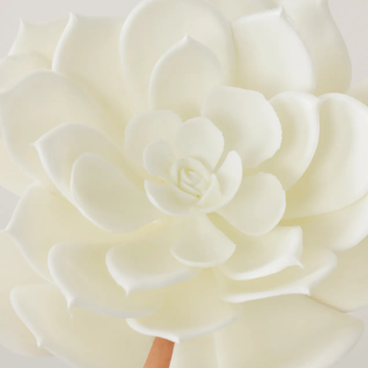 Faux Echeveria Succulent Pick - Set of 3