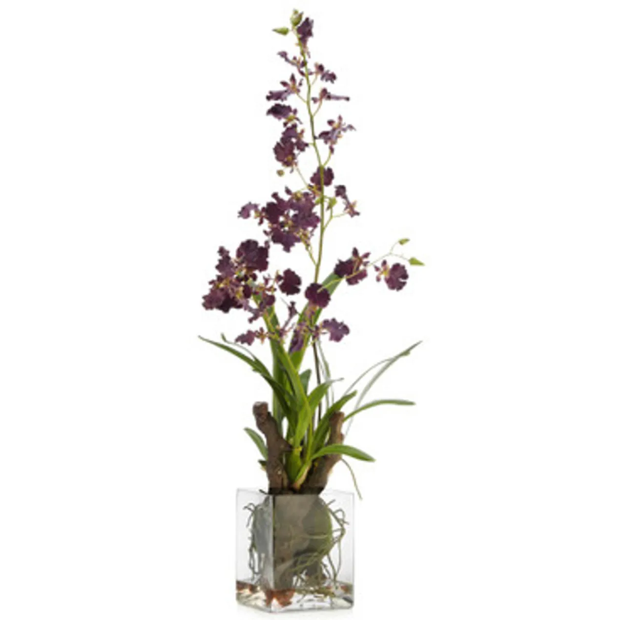 Faux Oncidium In Glass