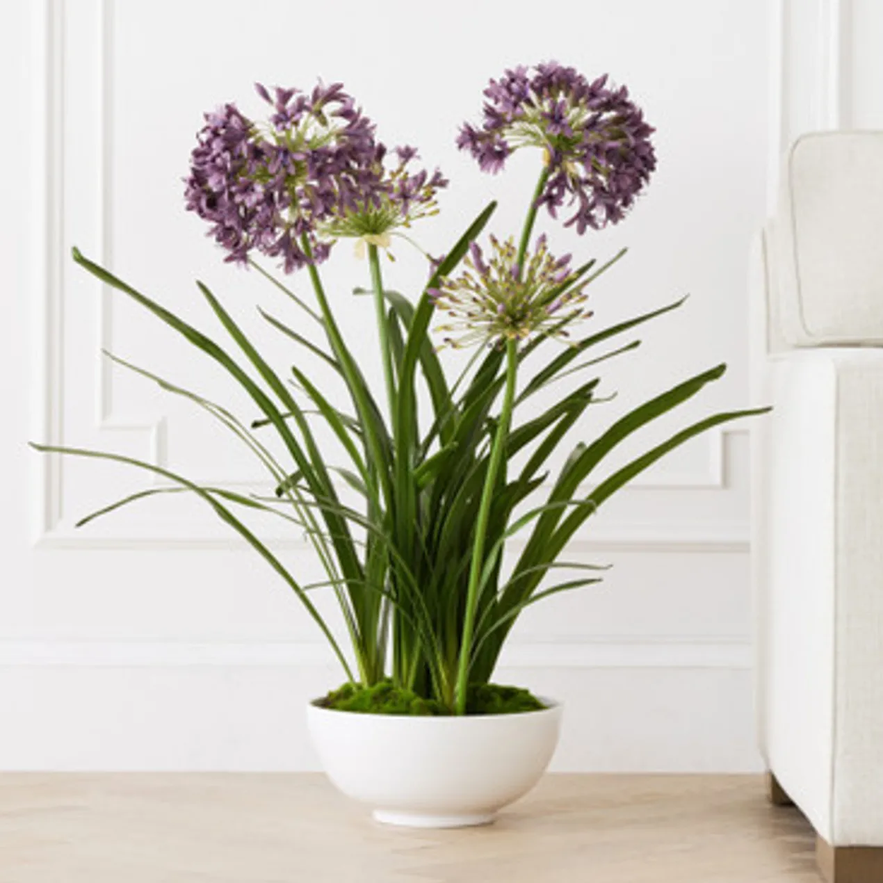 Faux Potted Agapanthus