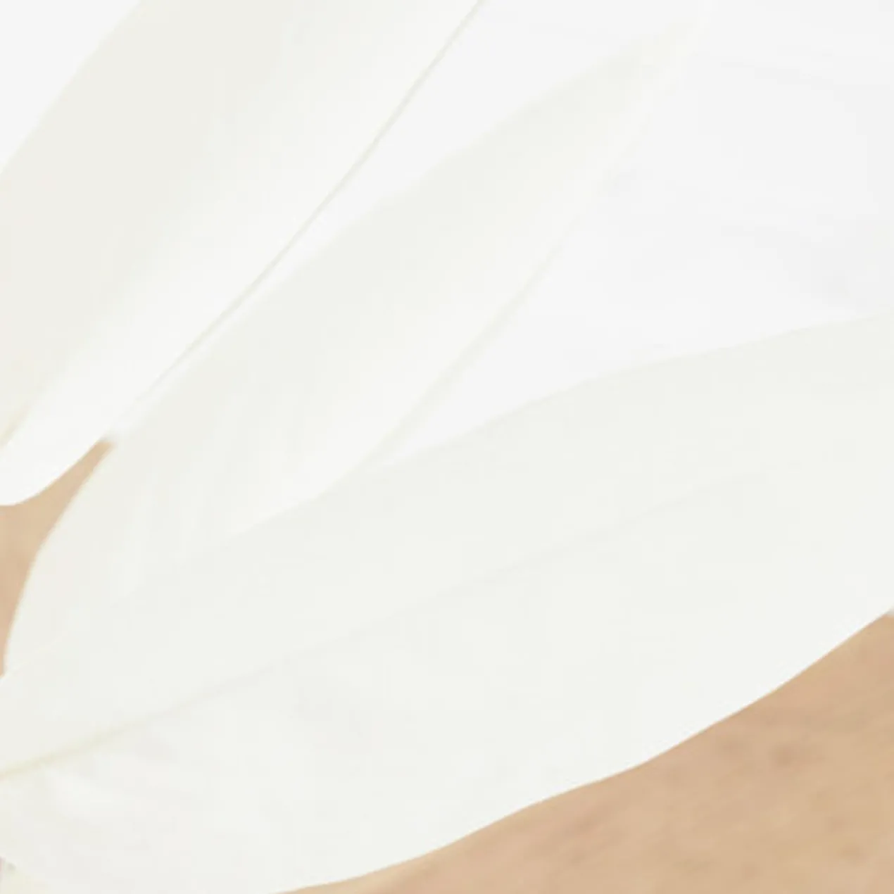 Faux Potted Water Canna