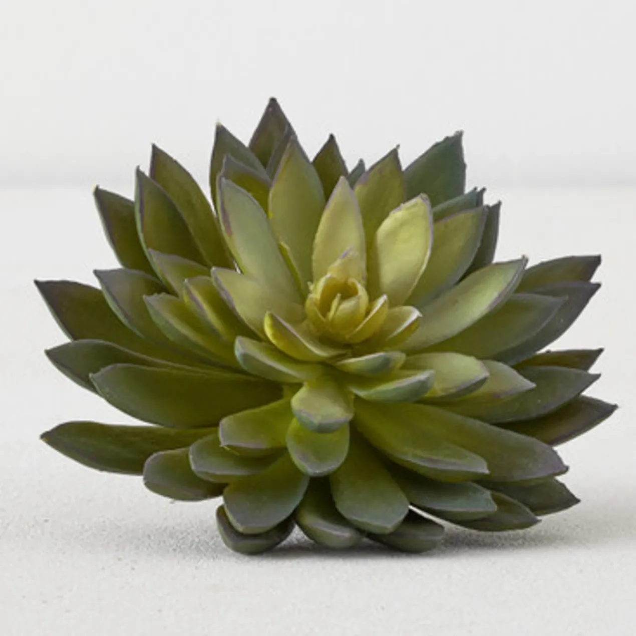 Faux Thorn Succulent Pick