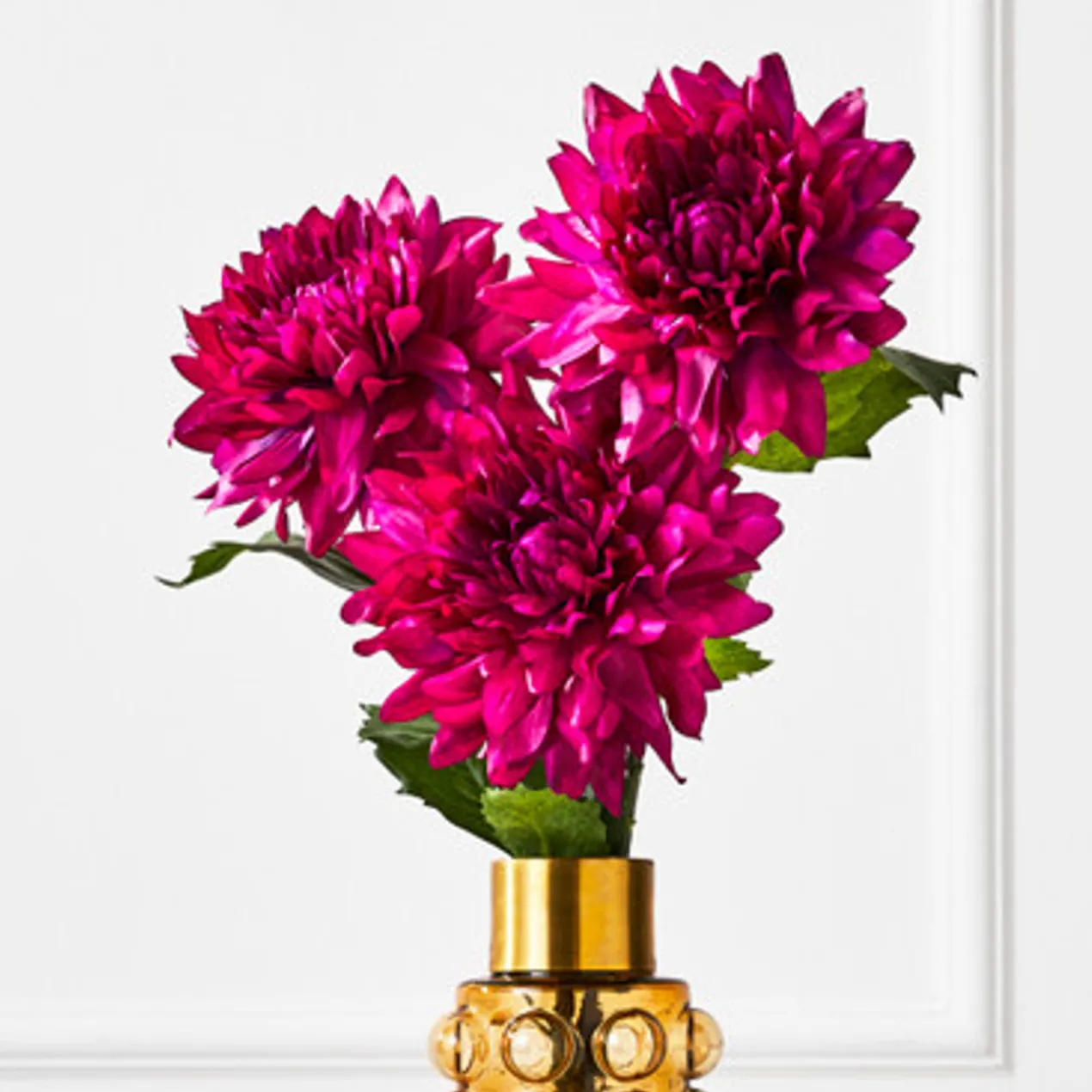 Fuchsia Open Dahlia - Set of 3