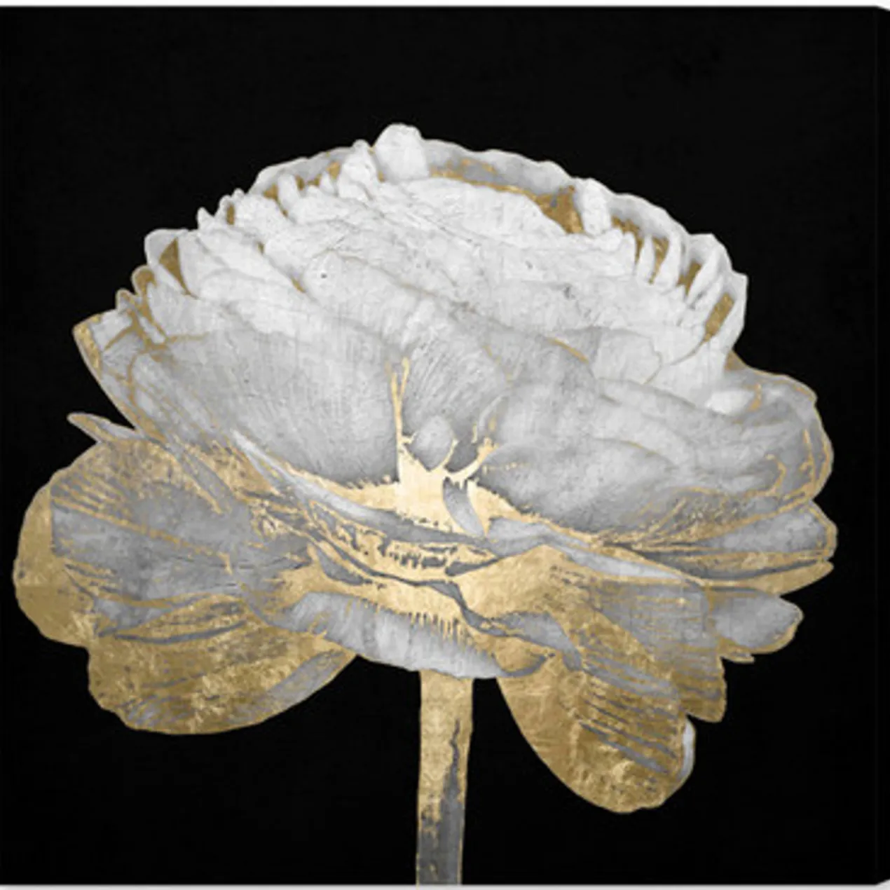 Gold And White Blossom On Black - Set of 2