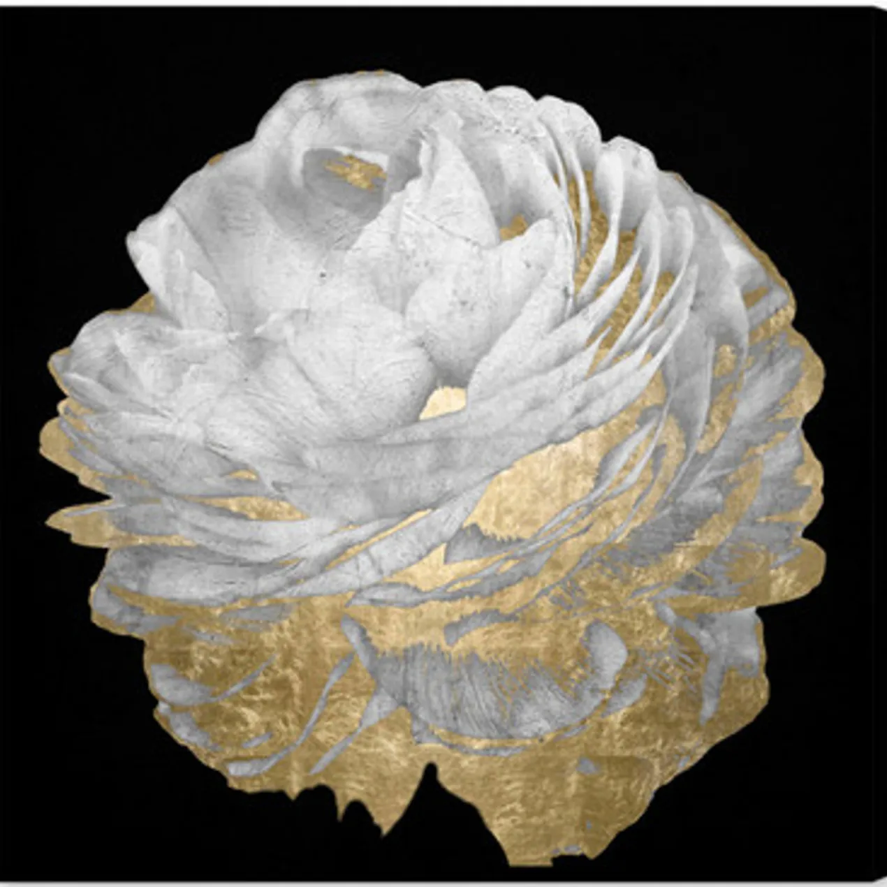 Gold And White Blossom On Black - Set of 2