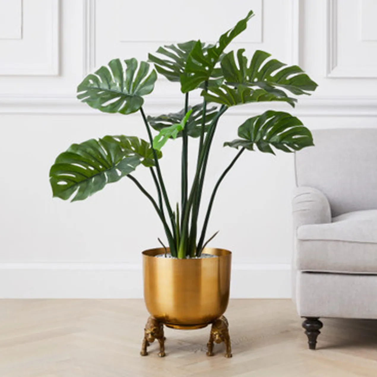 Nikki Chu - Jaguar Planter