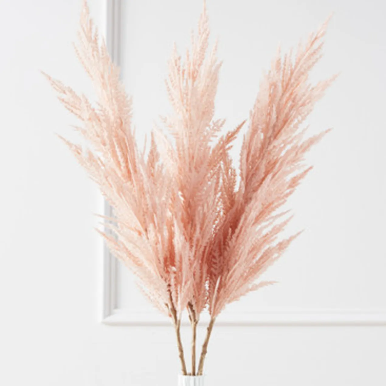 Pampas Grass - Set of 3