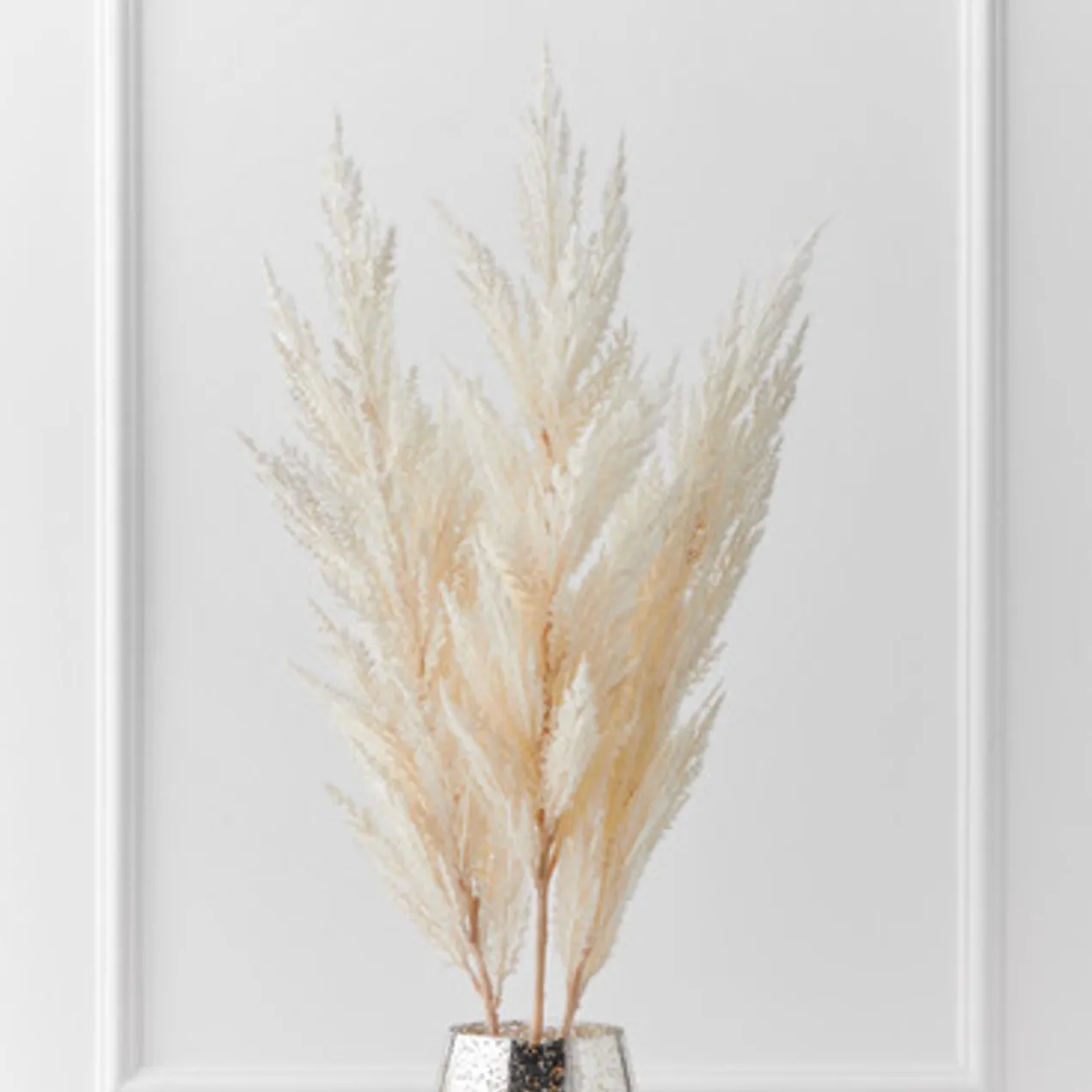 Pampas Grass - Set of 3